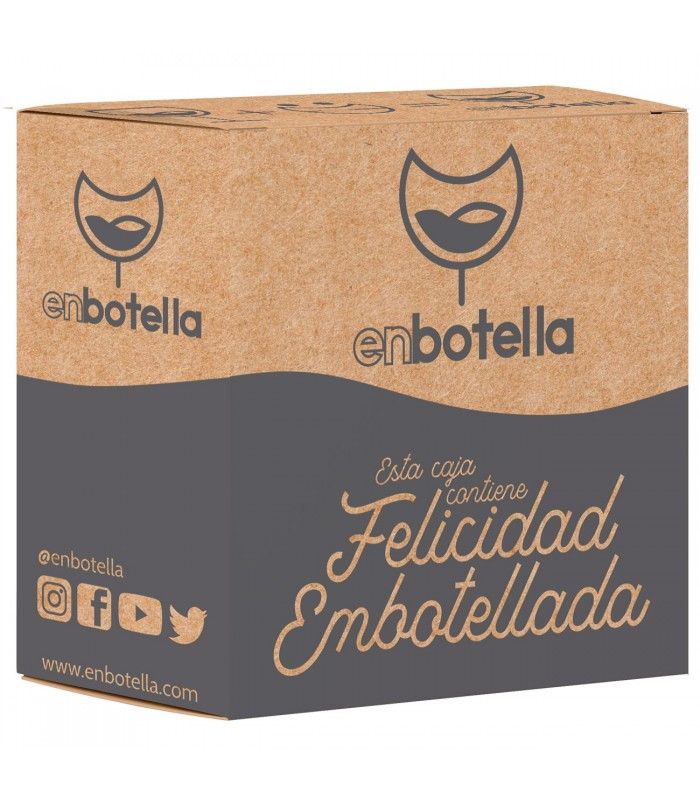 Embalajes  Caja 6 Botellas Antiroturas Reutilizable ENBOTELLA