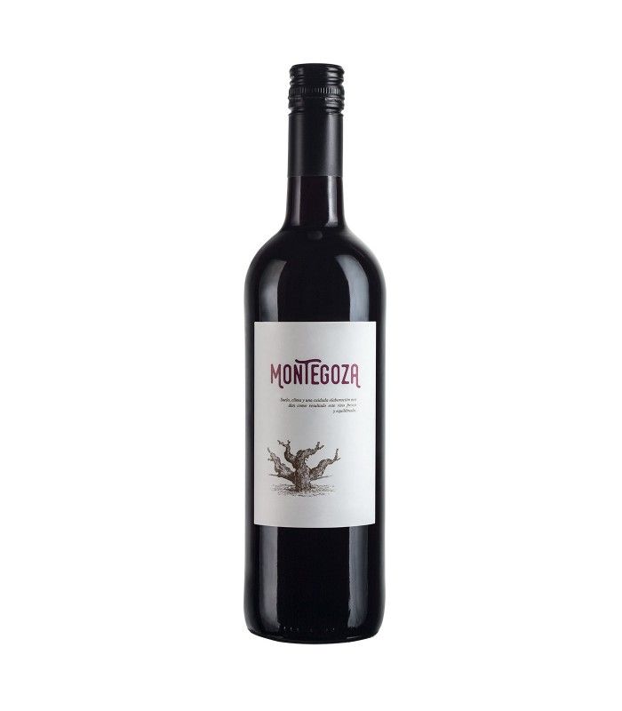 Tinto San Valero Montegoza Tinto
