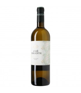 Jose Pariente Sauvignon Blanc