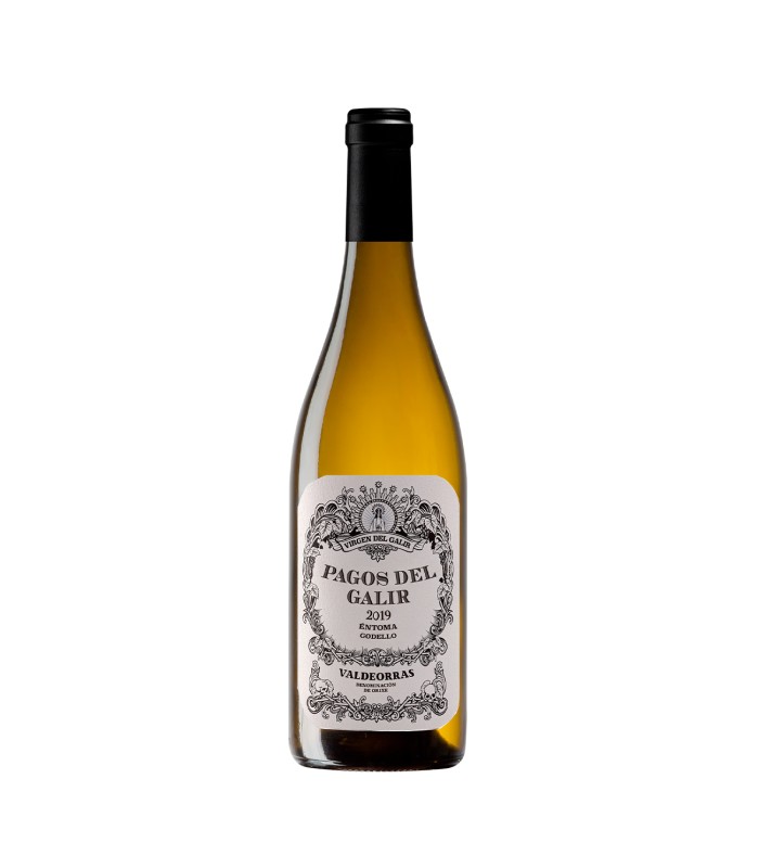 Wine CVNE Pagos del Galir Godello