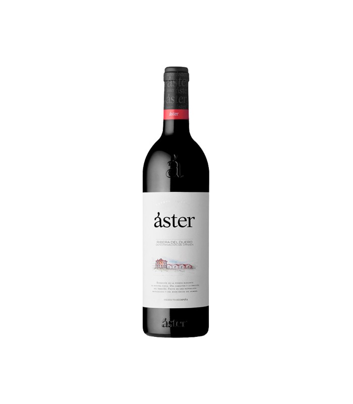 Aster Crianza