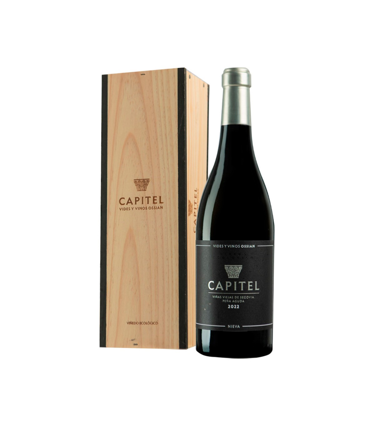 Blanco Ossian Capitel Ossian