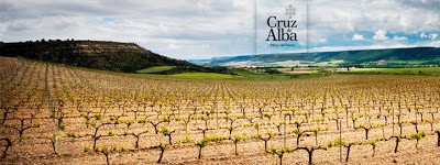 Bodega Cruz de Alba