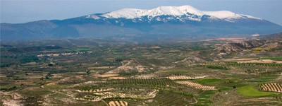 Bodega Alto Moncayo