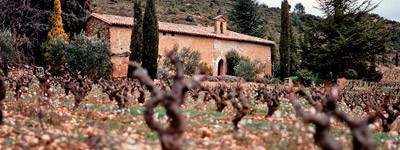 Bodega Granja de Remelluri