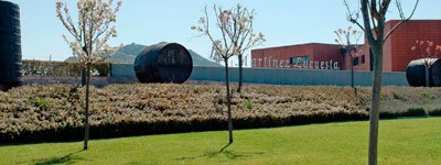 Bodega Martinez Lacuesta