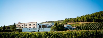 Bodega Matarromera