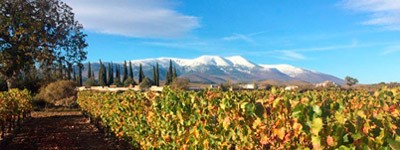 Bodega Pagos del Moncayo