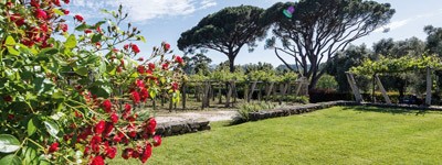 Bodega Quinta de Couselo