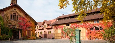 Bodega Weingut Villa Wolf