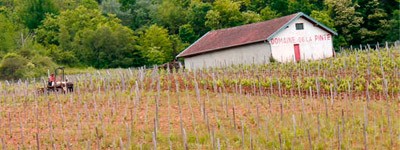 Bodega Domaine de la pinte
