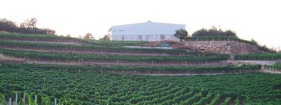 Bodega Adega Manuel Formigo